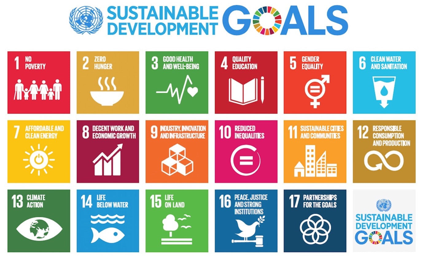 Challenge Participation - SDG 11 Sustainable Cities and Communities